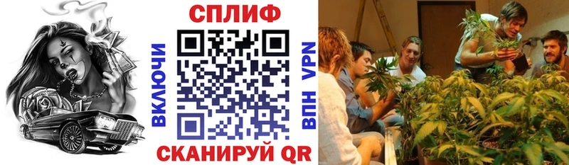 Канабис ГИДРОПОН  Электроугли 